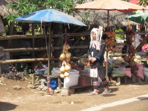A lady from the Hmong hilltribe.