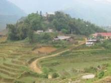 Tiered hillside in Sapa