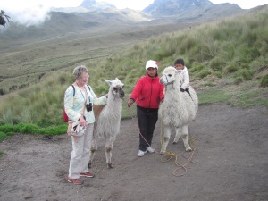 meeting some llamas on the way.