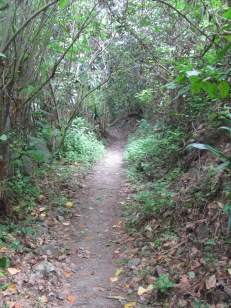 Nature trail - 1st level.