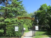 One of the entrances to the Public Gardens-a true Victorian Garden in the centre of the city.