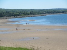 Beach at Cornwallis.